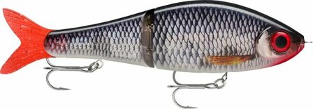 Rapala Super Shadow Rap Glide 16 Live Roach