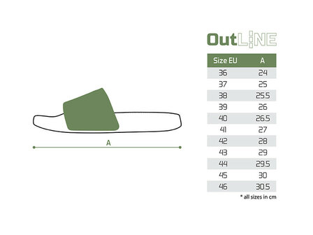 Delphin slippers 36 t/m 46 slide sandals outline carp