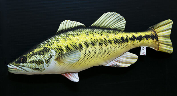 Gaby - Visknuffel Largemounth bass 67 cm